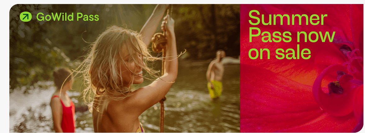 The GoWild Pass page on the Frontier Airlines website announcing the Summer Pass sale